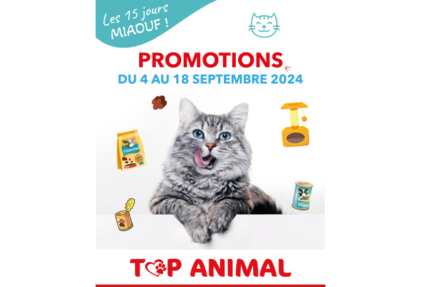 LES 15 JOURS MIAOUF !